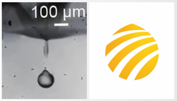 官宣 | 金莎9001zz以诚为本官方LOGO全「新」亮相！