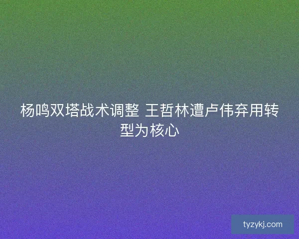 杨鸣双塔战术调整 王哲林遭卢伟弃用转型为核心