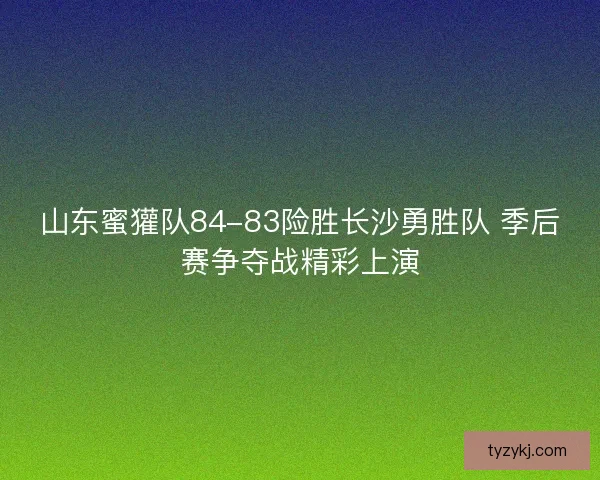 山东蜜獾队84-83险胜长沙勇胜队 季后赛争夺战精彩上演