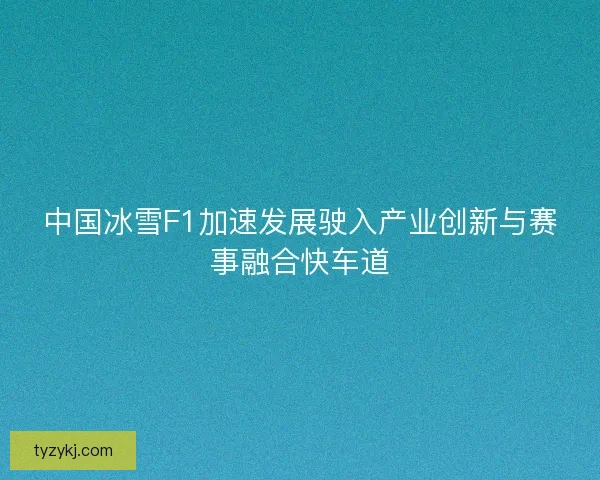 中国冰雪F1加速发展驶入产业创新与赛事融合快车道